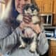 Purebred Miniature Schnauzer females for sale
