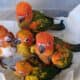 Sun Conures