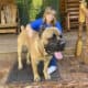 Beautiful Cane Corso Puppies!!