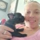 AKC French bulldogs