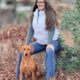 Beautiful Labradors looking for homes