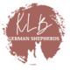 Amarillo – German Shepherd Dog puppy