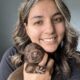 Chocolate Labs