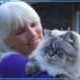 Himalayan Kittens ready in April 2025