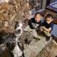 Puppies need rehoming