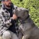 Clear Creek Cane Corso’s