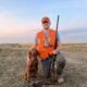 Irish setter puppy- female “Lavender”