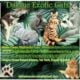 Highlander Lynx Kittnes poly Paw and natural short