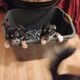 Puppies free