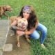 Free red nose pitbull puppies