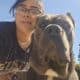 Cane Corso Puppies for sale