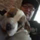 American bully pups ABKC papers in hand