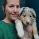 Meet CHAI Rough Collie Puppy 8 weeks