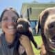 LABrador Retriever Puppies AKC Registered