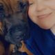 Cane corso puppies!!!