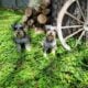 2 Beautiful Puppies Available
