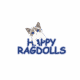 Male Seal Point Ragdoll Kitten Born: 04/10/2025