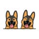 German Shepherd Puppy (White)