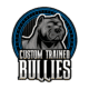 XL American Bully puppy – female