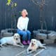 AKC WHITE LAB PUPPIES