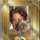 Siamese Kittens Bred By Oramor Available