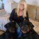 AKC Rottweiler pups