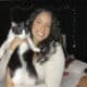 Bonded Sister Cats looking for a Loving Home