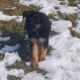 Akc german shepherd puppies