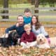 Goldendoodle puppies
