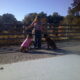 Belgian Malinois Puppies