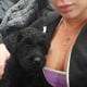 Giant Schnauzer Puppies Available
