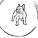 Frenchie