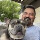 AKC French Bulldog Puppies