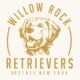 Golden Retriever Puppies – June 7th