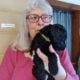 GOLDENDOODLE F2B PUPPIES