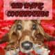 Beautiful Healthy Loved Purebred Coonhound puppies