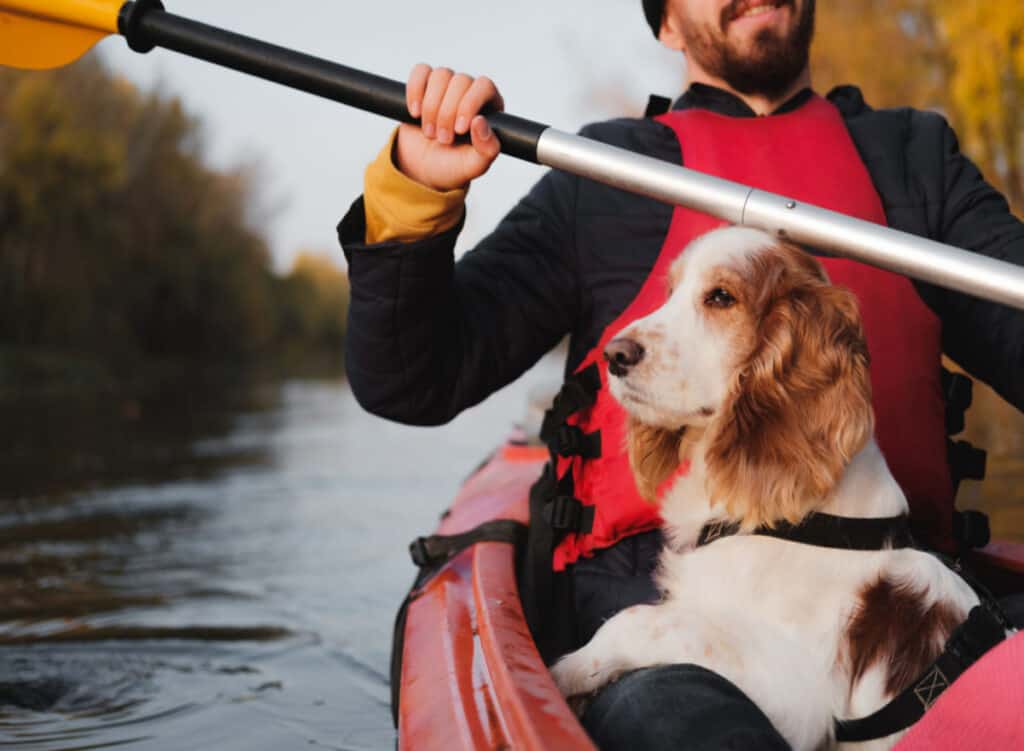 Boating with dog