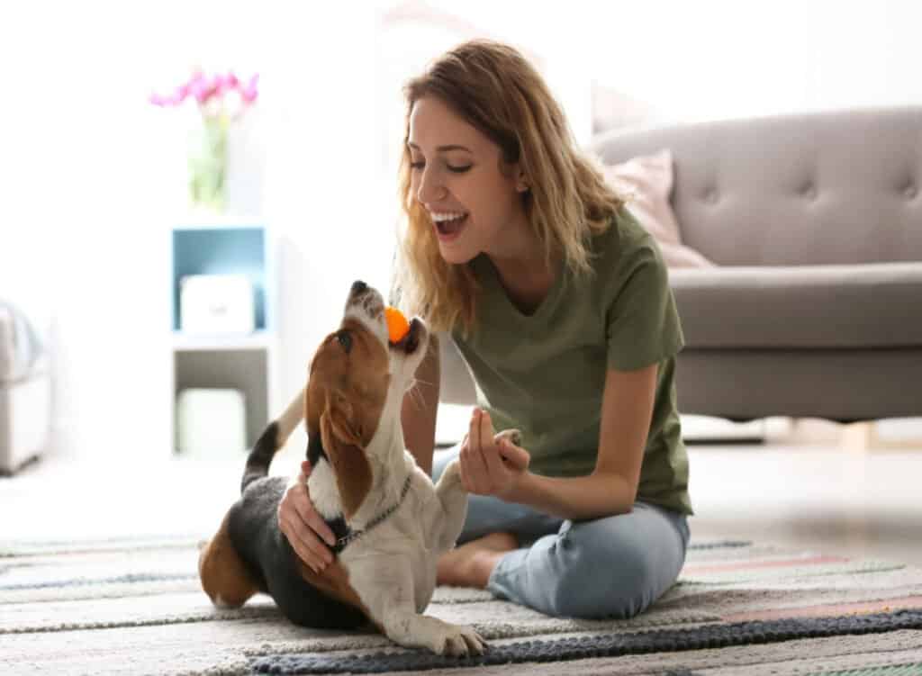 Keep Your Dog Company to Lessen their Anxiety
