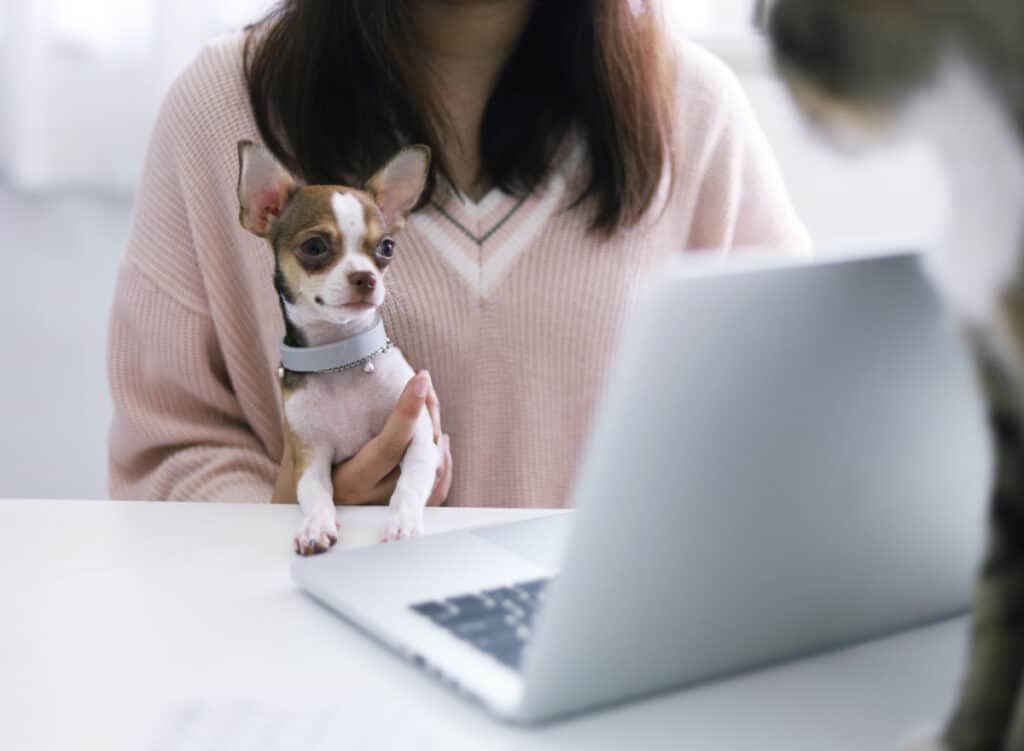 woman working from home with dog