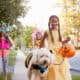 How to Trick or Treat Safely with Your Dog