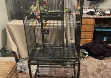 Large Bird Cage (removable base on wheeels)