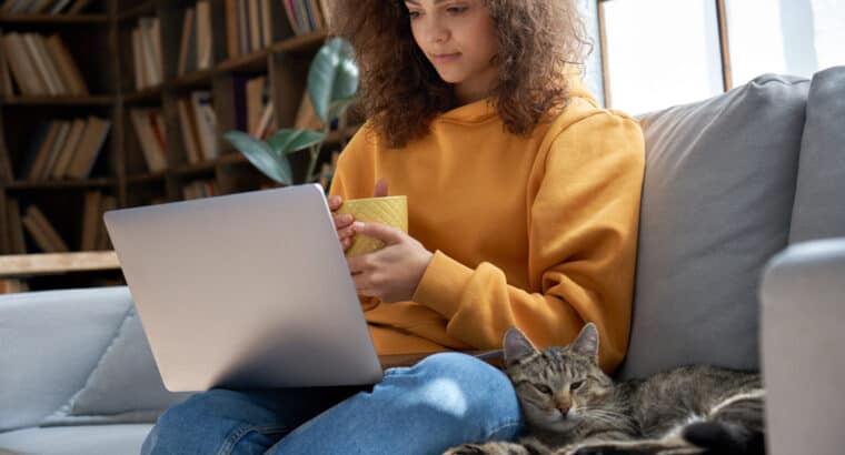 Best Pets for College Students