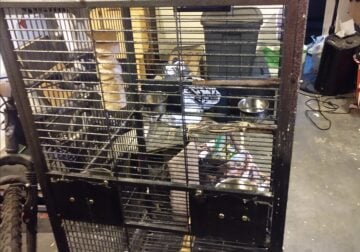 Cages galore