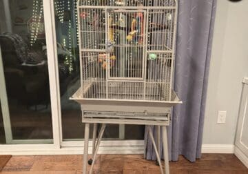 Green Cheek Conure and Cage