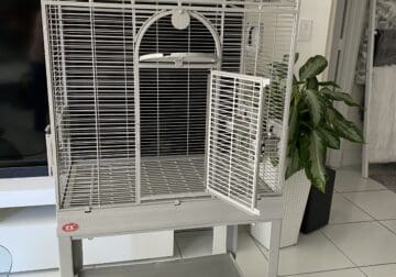 new parrot cage