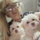 Maltipoo
