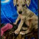 Royal Companion Great Danes
