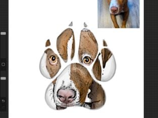 6mnth pit
