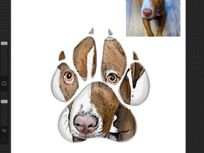 6mnth pit