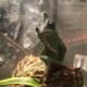 Adult Female Veiled Chameleon + Accessories